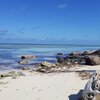 Bahamas, Bimini, MK's Lagoon beach, house reef