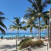 Bahamas, Bimini, Virgin Voyages beach, palms