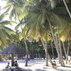 China, Hainan, Coconut Grove Bay beach, palms