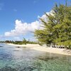 French Polynesia, Tikehau Pearl beach, trees
