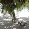 French Polynesia, Tikehau, Relais Tikehau beach, hammock