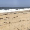 India, Kerala, Munakkal beach, sand