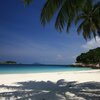 Malaysia, Redang, Mutiara beach, palm shade