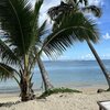 Самоа, Уполу, Пляж Маниноа, пальмы
