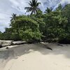 Samoa, Upolu, Nu'uavasa beach, wet sand