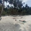 Sao Tome, Sete Ondas beach, palms