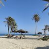 Tunisia, Djerba, Aghir beach, scenic palms