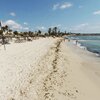 Tunisia, Djerba, Aghir beach, water edge