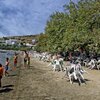 Turkey, Dalyan beach, cafe