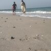 United Arab Emirates (UAE), Kalba beach, wet sand