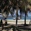 Venezuela, Margarita, Bella Vista beach, palms