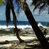 Christmas Island, Dolly beach, palms