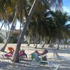 Cuba, Maria La Gorda beach, palms