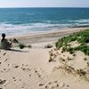 Israel, Palmachim beach, sand dune