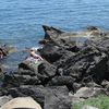Italy, Sicily, Ciclopi beach, rocks