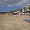 Spain, San Antonio beach, palm trees