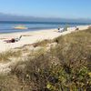 USA, Florida, Bonita Springs beach, grass