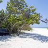 USA, Florida, Delnor-Wiggins beach, tree shadow