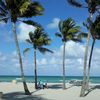 USA, Florida, Hollywood beach, palms