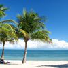 USA, Florida, Key Biscayne, Crandon Park beach, palms