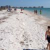 USA, Florida, Marco island, beach