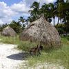 USA, Florida, Naples, Lowdermilk Park beach, huts