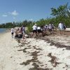 USA, Florida, Virginia Key island, beach