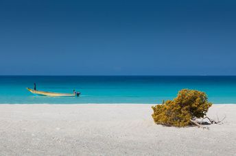 Yemen, Socotra island, Shouab beach, boat and tree
