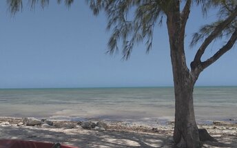 Bahamas, Andros, Cargill Greek beach