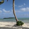 Багамы, Андрос, Пляж Мангрув-Кэй