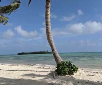 Багамы, Андрос, Пляж Мангрув-Кэй