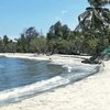 India, Kerala, Puthenthodu beach, palms