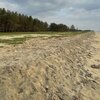 India, Kerala, Puthuvype beach, view to south