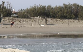 Italy, Veneto, Pellestrina beach