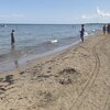 Italy, Veneto, Sottomarina beach, water edge