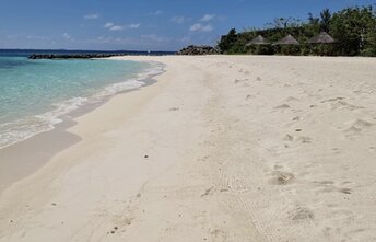 North Male Atoll, Kuda Vattaru island, beach