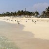 Oman, Salalah beach, view from water