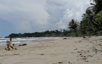 Panama, Playa Calovebora beach