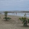 Philippines, Palawan, Astoria Palawan beach, low tide