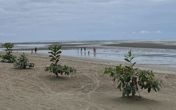 Philippines, Palawan, Astoria Palawan beach, low tide