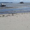 Philippines, Palawan, Bahay Aplaya beach, low tide