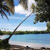 Самоа, Уполу, Пляж Аганоа, пальма над водой