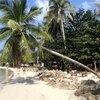 Thailand, Phangan, Chalok Lam beach, palm over water