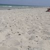 Tunisia, Djerba, Essaguia beach, sand
