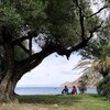 Tunisia, Maloula beach, trees