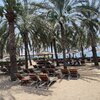 UAE, Al Aqah beach, palms