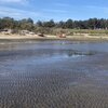 Uruguay, Playa del Nacional beach, view from water