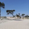 Uruguay, Punta Yeguas beach, view from water