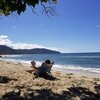 USVI, St. Croix, Cane Bay beach, tree shade