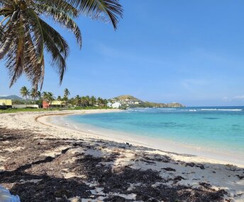 USVI, St. Croix, Pelican Cove beach